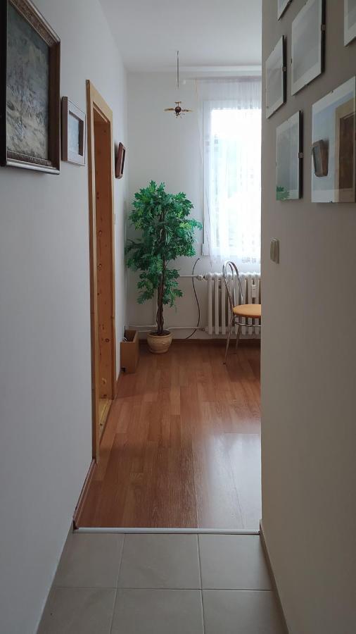 Apartman V Srní Exterior photo